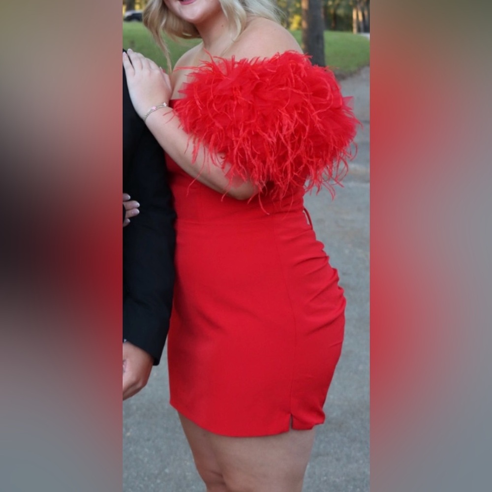 Elegant Red Feathered Women's Dress